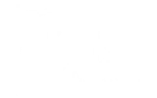 Dr. med. dent. Christopher Bals